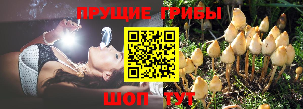 Галлюциногенные грибы GOLDEN TEACHER Саяногорск